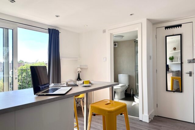 Braeside Road, SW16 5BG – Loft Studio